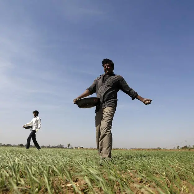 India to provide potash at lower prices, spend $2.7bln on fertiliser subsidies