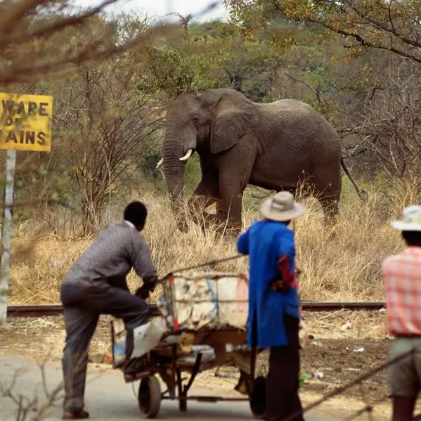 Zimbabwe sees 83% surge in tourism arrivals