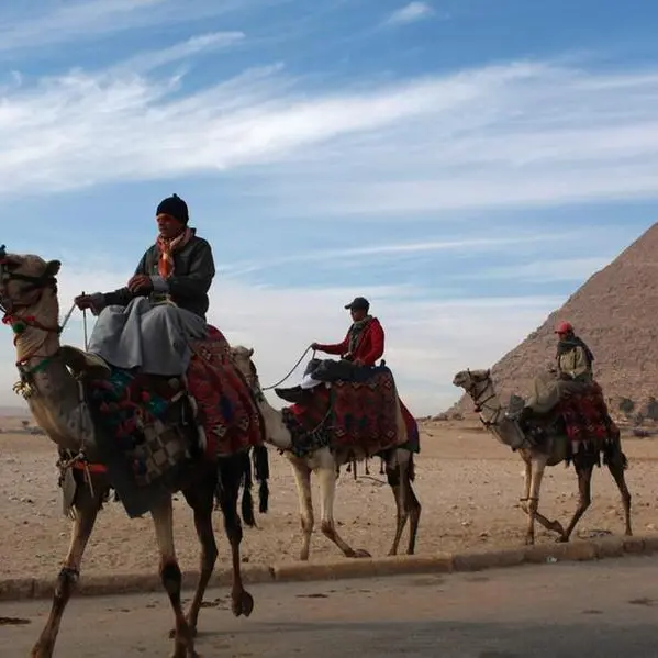 Egypt logs $7.8bln revenues from tourism sector