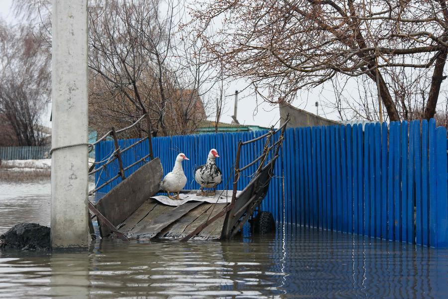 Russia's Siberia braces for devastating flood peak