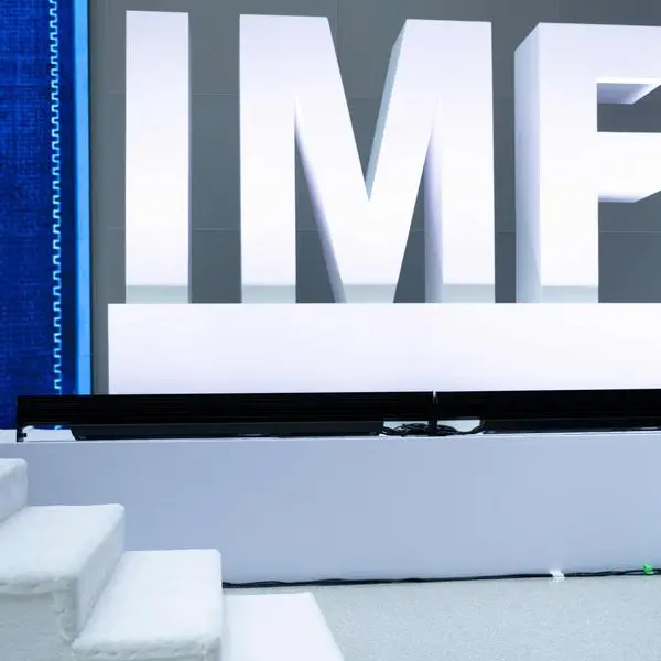 IMF continues virtual talks on Egypt's economic reform program