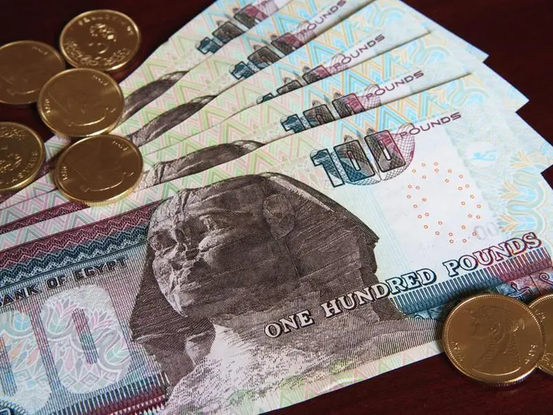 إيليت للاستشارات المصرية تخطط لزيادة أعمالها في 2026 بعد توقف لعدة أشهر - تفاصيل