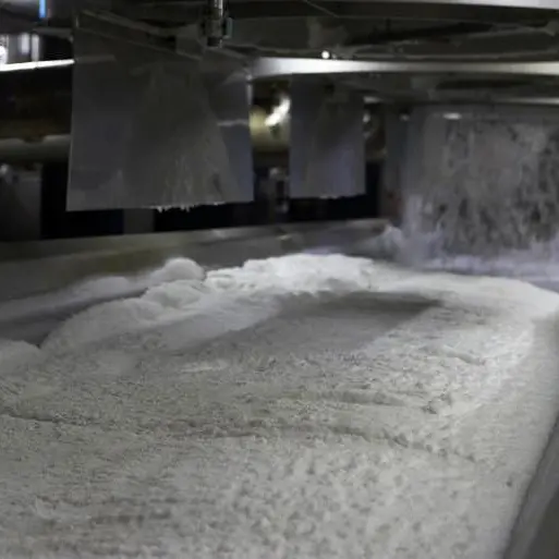 Rising German refined sugar output forecast this season