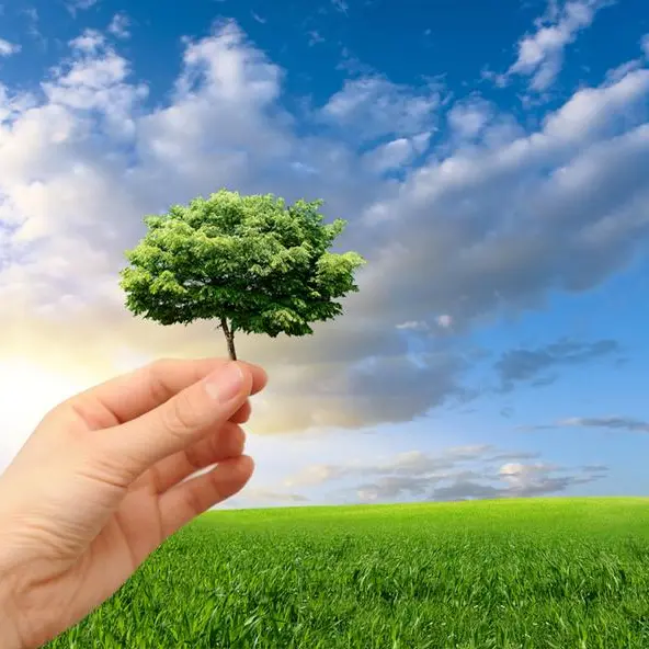 Industrialised world must fulfill its commitments to reduce carbon footprint: Bahamas PM
