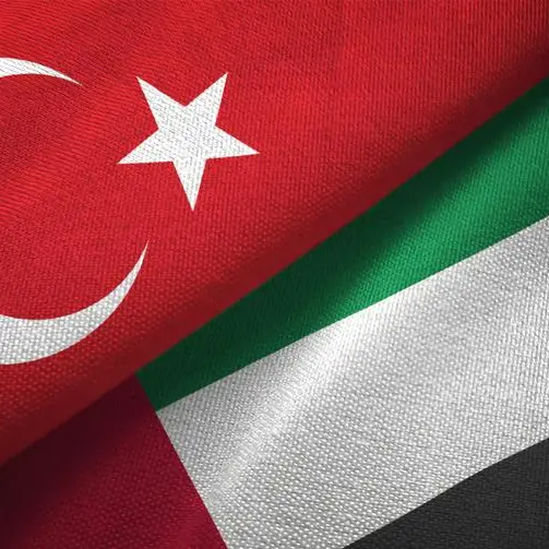 UAE, Turkish Presidents discuss cooperation, regional developments