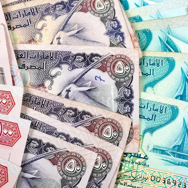 UAE bank borrowings hit $498bln as demand for personal, business loans rise