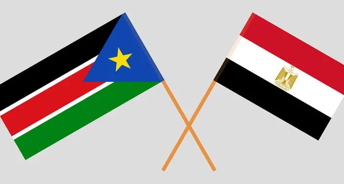 Egypt, South Sudan step up talks to boost investment, trade