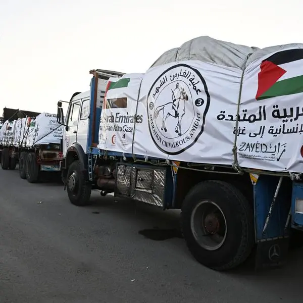 New UAE aid ship sets sail to Gaza Strip from Larnaca Port