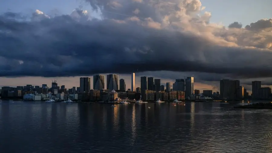 Japan's greater oversight of foreign investments unlikely to interrupt M&A boom