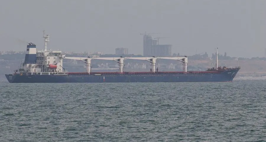 Russia says first free grain shipments to Africa are on their way