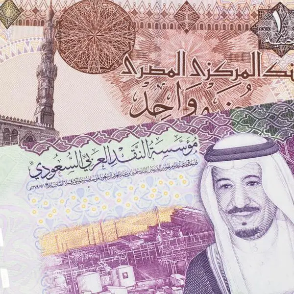 Saudi PIF increases stake in Egypt’s e-Finance Company - Report