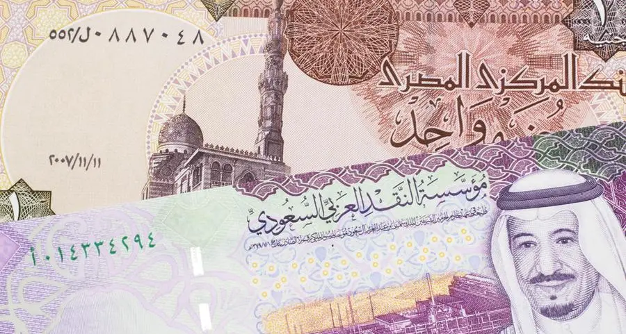 Saudi PIF increases stake in Egypt’s e-Finance Company - Report