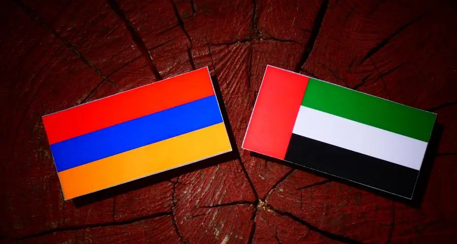 UAE-Armenia relations are witnessing a new historical era: UAE Ambassador