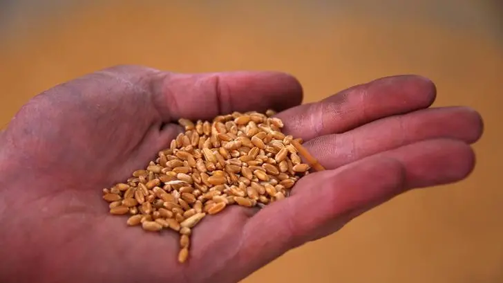 Wheat retreats from 10-month highs as investors lock profits