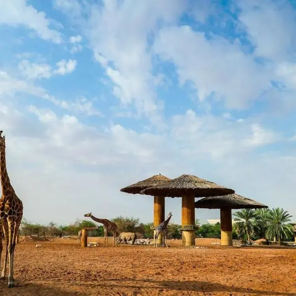 Dubai expected to award wildlife sanctuary project in Q2