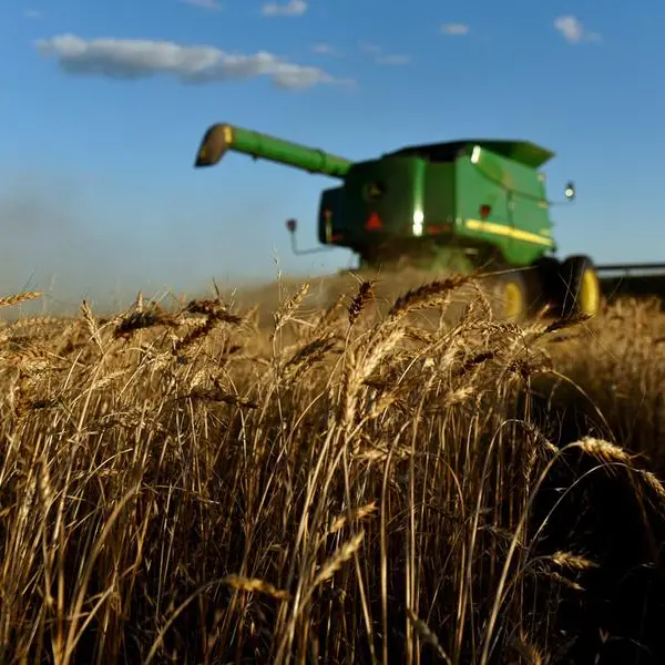 Wheat set for weekly gain on U.S. winter crop concerns