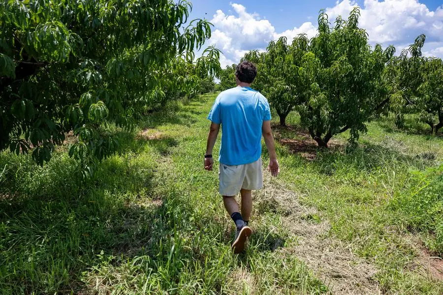 Agence France-Presse (AFP)/AFP