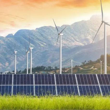 IRENA: Global renewable energy investment hit $807bln in 2024