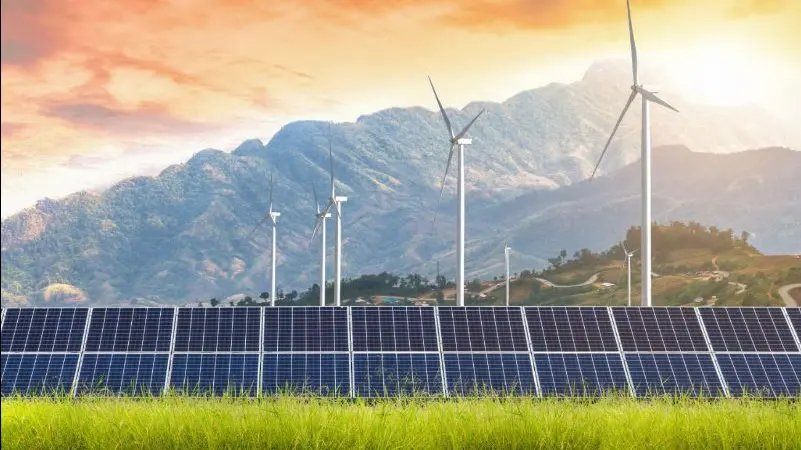 Near-700 GW surge in 2025 proves renewable energy resilience: Irena