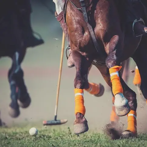 Crypto Polo Cup set to debut in Dubai, uniting world-class Polo players and Web3 enthusiasts