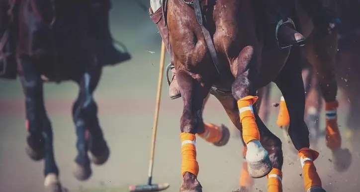Crypto Polo Cup set to debut in Dubai, uniting world-class Polo players and Web3 enthusiasts