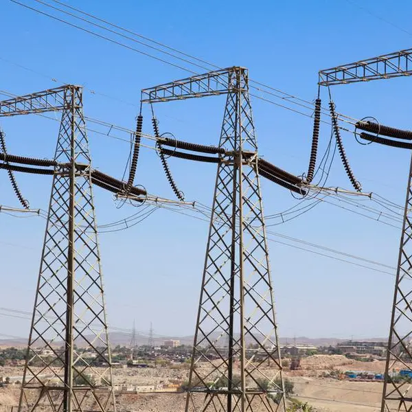 Ministers discuss electrical interconnection project between Saudi and Egyptian grids