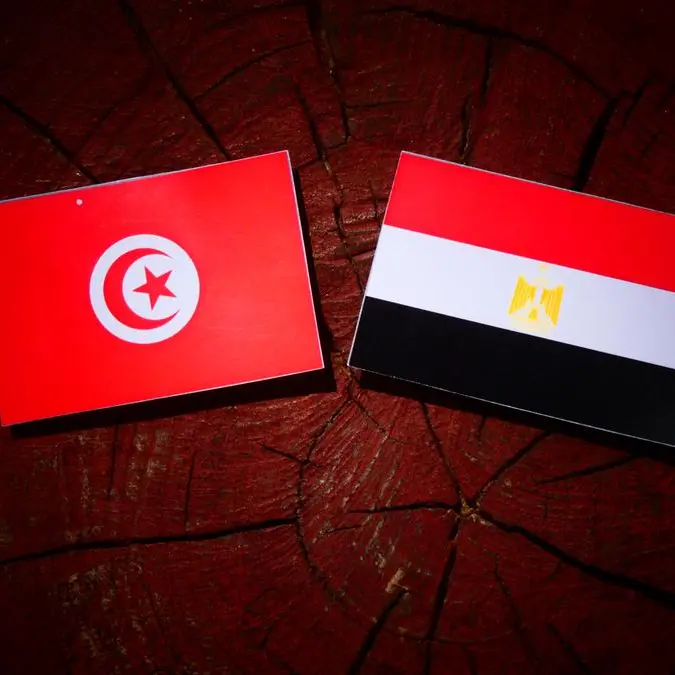 Tunisian minister, Egyptian Ambassador discuss military cooperation