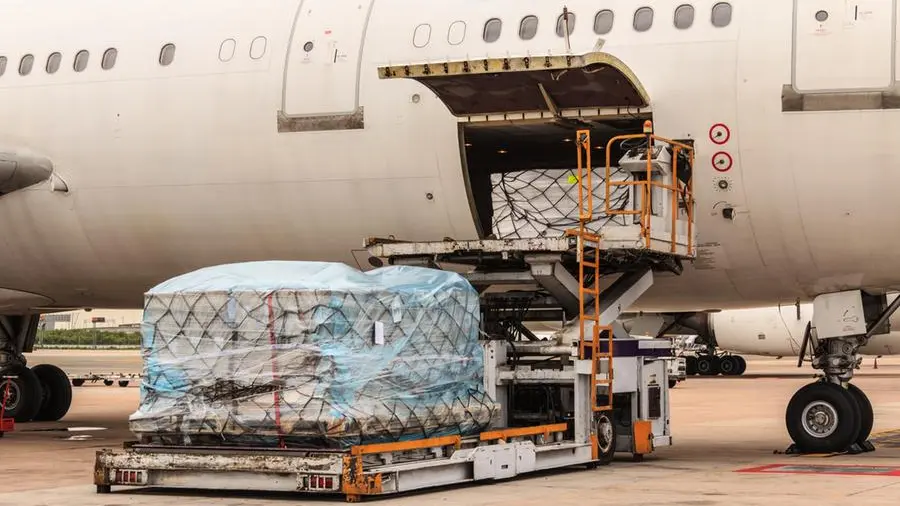 Air cargo helped cushion tariff shocks, boost trade in 2025, says IATA