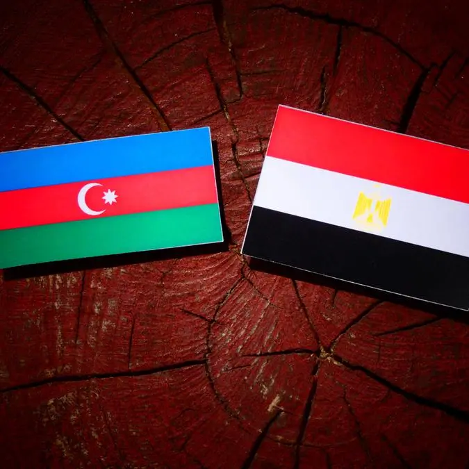 El-Sisi, Azerbaijani counterpart probe boosting bilateral ties