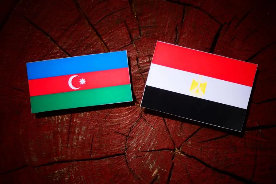 El-Sisi, Azerbaijani counterpart probe boosting bilateral ties