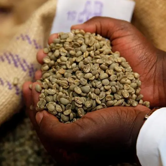 Uganda's coffee production projected at 6.9mln bags, says USDA