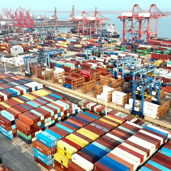 Chinese logistic enterprises show more vitality with government support