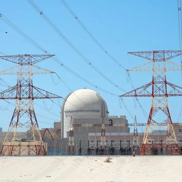 UAE: Peaceful nuclear energy sector is key component of our net-zero strategy