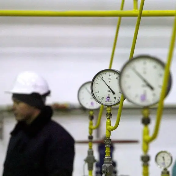 Austria seeking to end Russian gas import contract, energy minister says