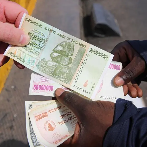 Zimbabwe plans exchange rate link to hard assets, introduces currency board