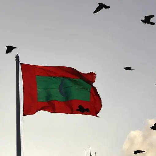 Pro-China party wins Maldives election in landslide, media say