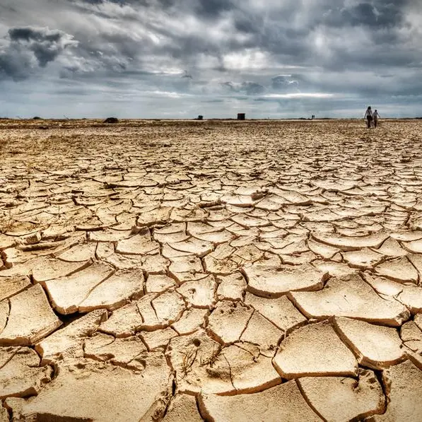 Saudi Arabia formally joins International Drought Resilience Alliance