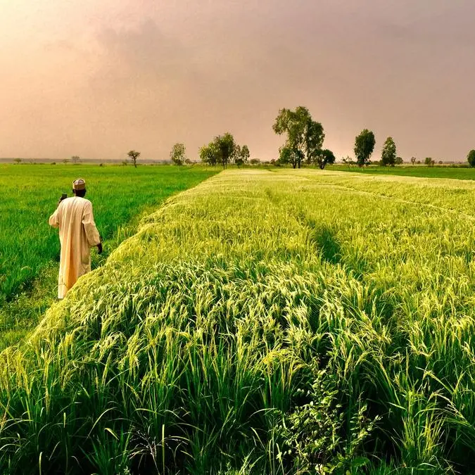 Kaduna govt distributes 15,000 tonnes of fertilizer to small farmers in Nigeria