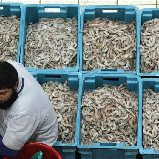 Kuwait: Changes to fish auction rules