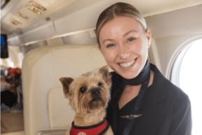 Win an all-expenses-paid private jet flight from Dubai-London with your dog this September