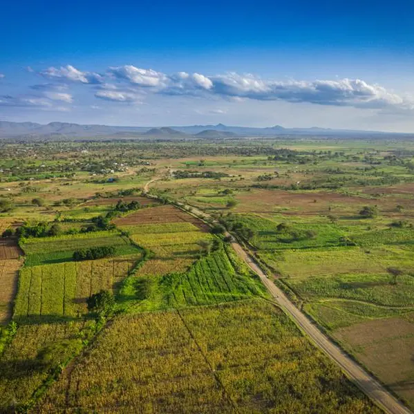 Climate resilience and sustainable farming: Tanzania’s agricultural transformation