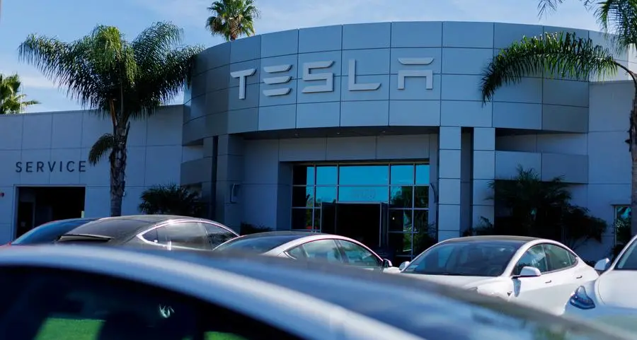 Tesla activist investors to seize on Elon Musk pay ruling