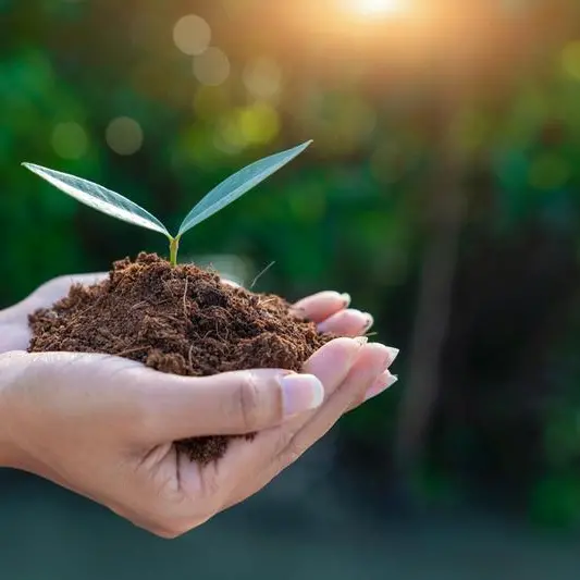 Abu Dhabi completes 95% of first phase of Environmental Centennial 2071 plan