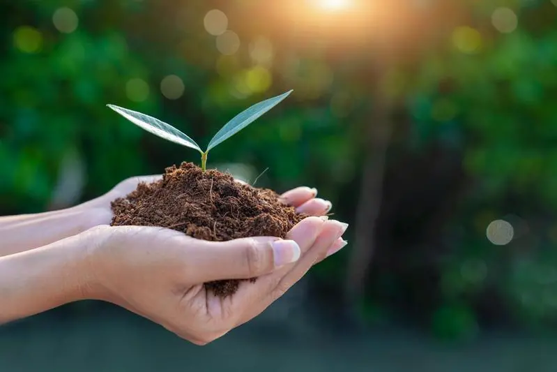World environment day concept. Earth Day In the hands of trees growing seedlings. Women hands holding big tree over blurred abstract beautiful green nature background , Getty Images/Getty Images