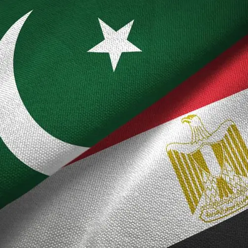 Egypt-Pakistan bilateral trade hits $217mln in 2024