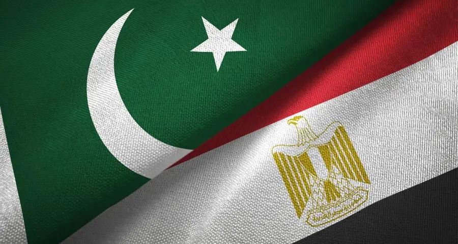 Egypt-Pakistan bilateral trade hits $217mln in 2024