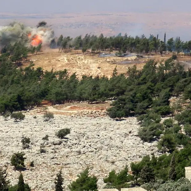 Illegal logging turns Syria's forests into 'barren land'