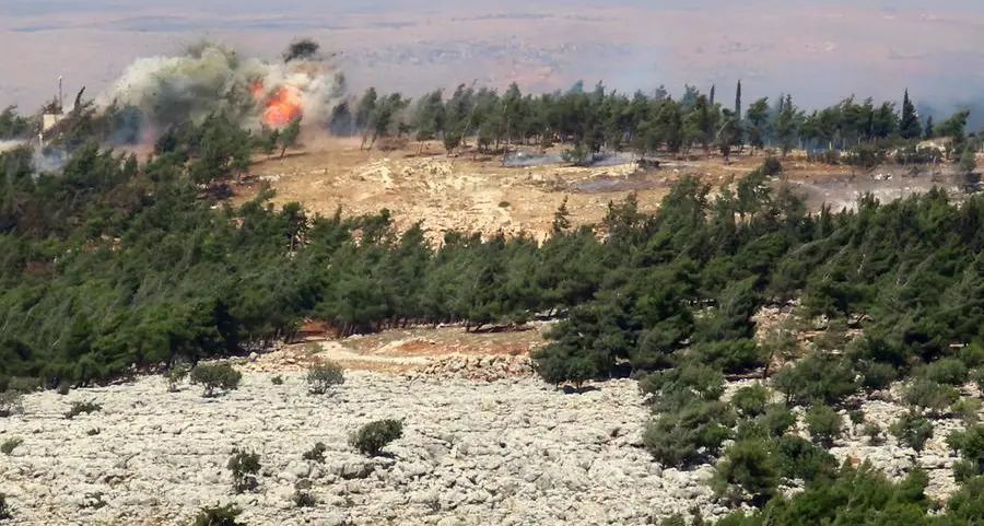 Illegal logging turns Syria's forests into 'barren land'