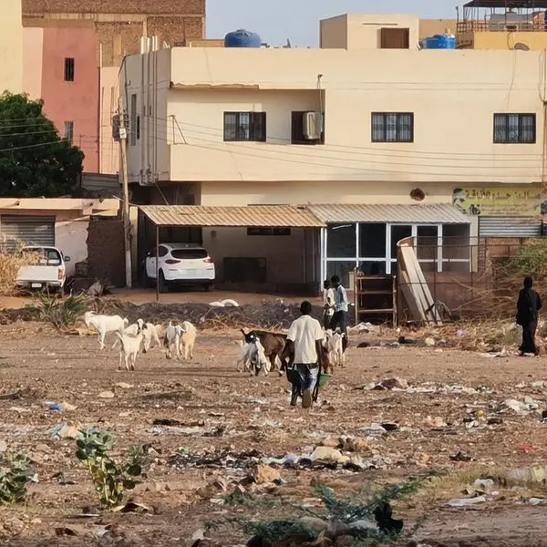 War hits sowing season in Sudan breadbasket, fuelling famine fears
