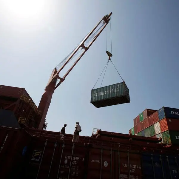 Egypt's Red Sea ports report high activity due to Hormuz Strait closure: Report